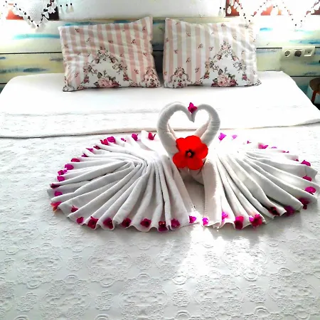 Aparthotel Cokertme Boutique *